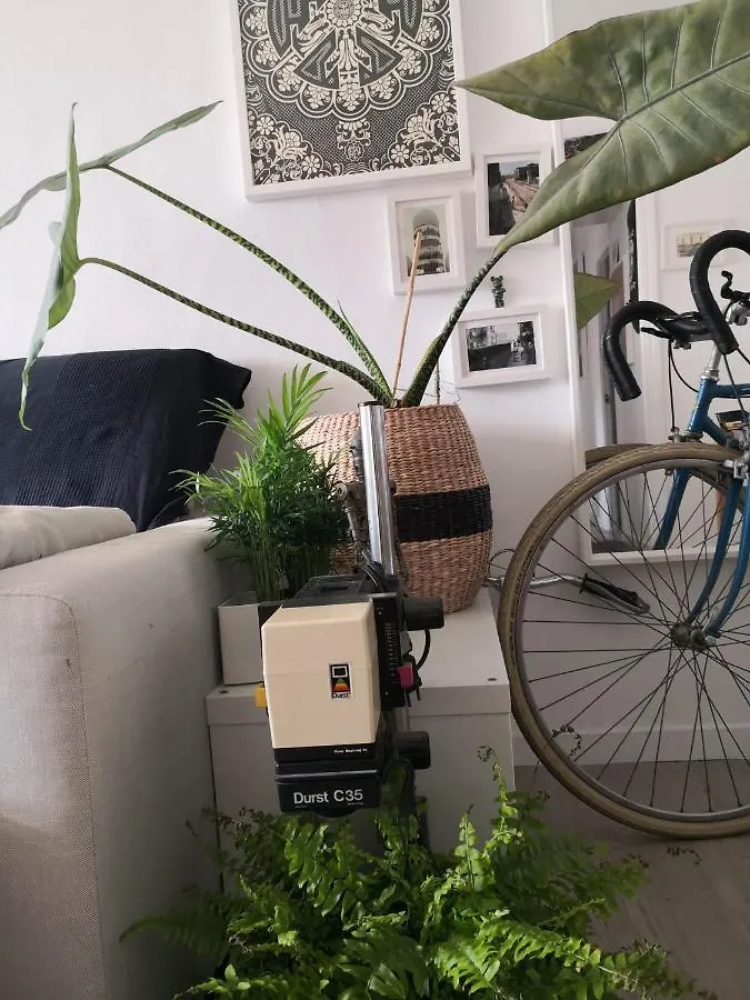 Homestay My Quiet House Apartment Malaga Spain