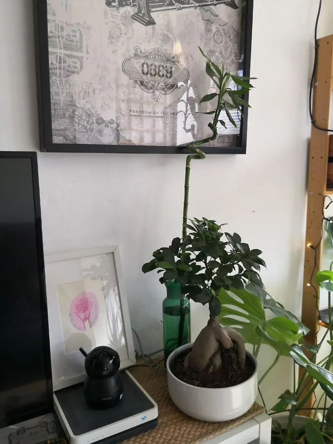 Homestay My Quiet House Apartment Malaga