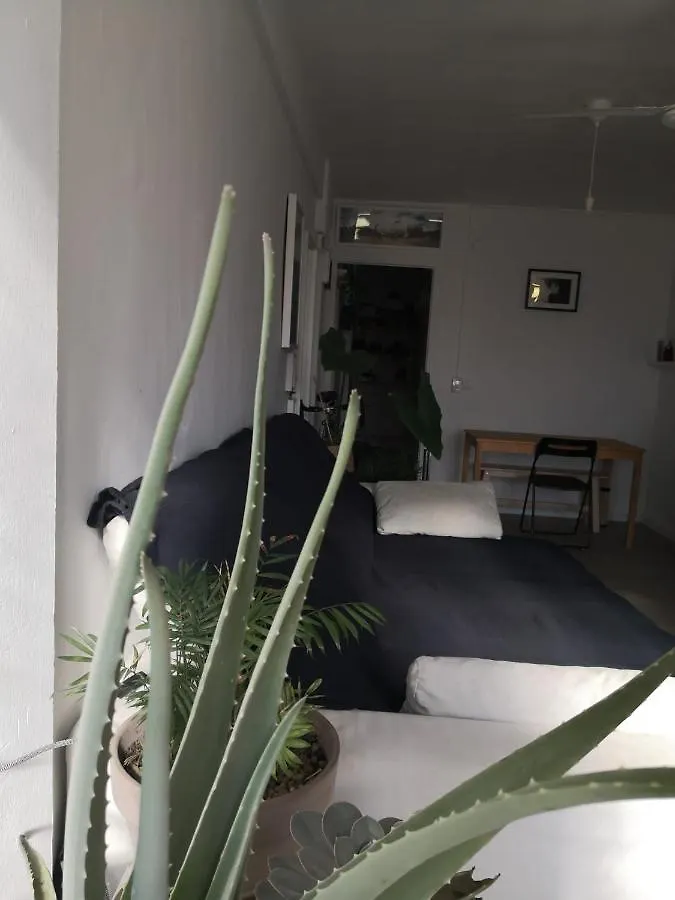 My Quiet House Apartment Malaga 0*,  Spain